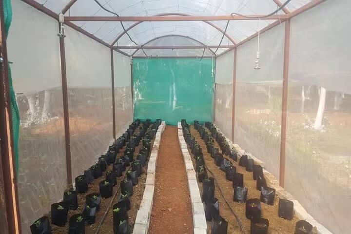 Centre for Agri-Management campus in Bhubaneswar, Odisha, India — photo 6