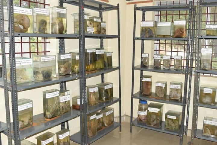 Sri Sathya Sai College of Homeopathic Medicine and Hospital campus in Dharwad, Karnataka, India — photo 3
