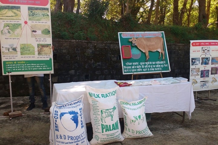 Dr GC Negi College of Veterinary and Animal Sciences, Palampur campus in Palampur, Himachal Pradesh, India