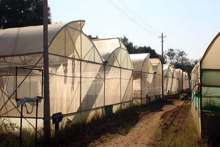 College of Horticulture campus in Hiriyur, Karnataka, India — photo 3