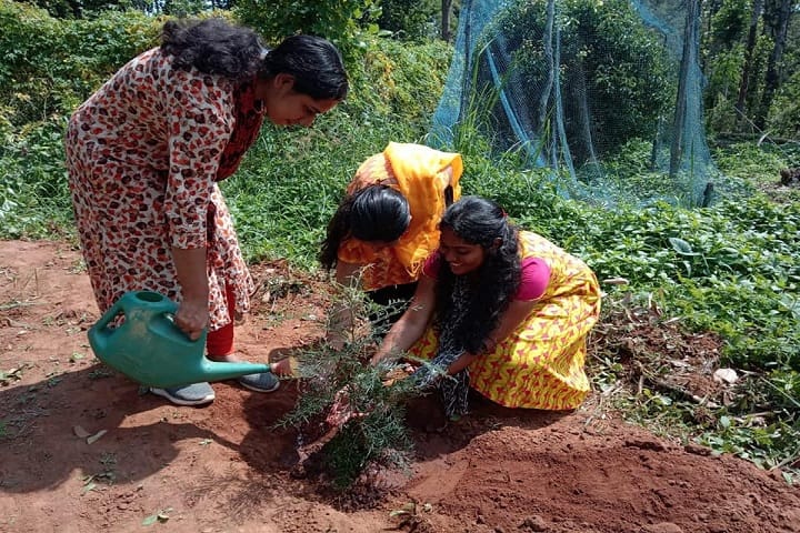 College of Agriculture campus in Ambalavayal, Kerala, India — photo 2