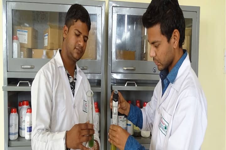 Lala Birkha Ram College of Pharmacy campus in Barwala, Haryana, India — photo 3