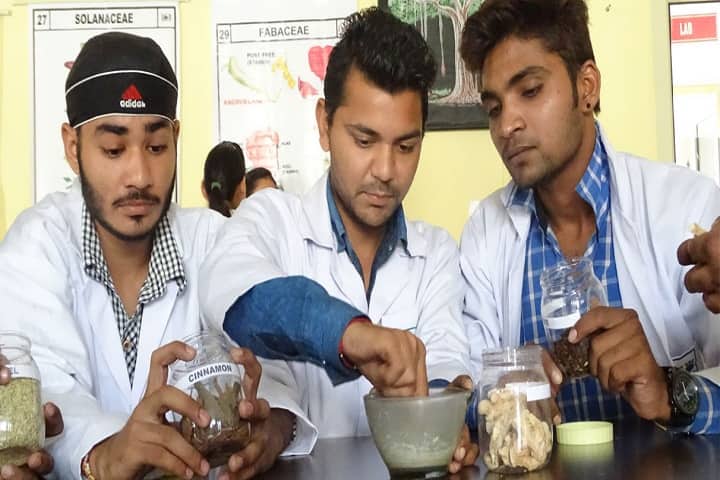 Lala Birkha Ram College of Pharmacy campus in Barwala, Haryana, India — photo 5