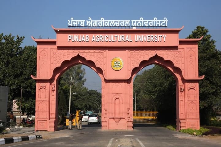 PAU Ludhiana campus in Ludhiana, Punjab, India