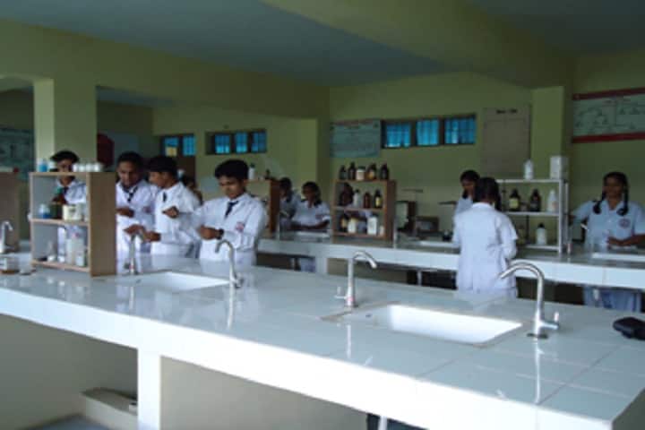 Veena Vadini Ayurveda College and Hospital campus in Bhopal, Madhya Pradesh, India — photo 2