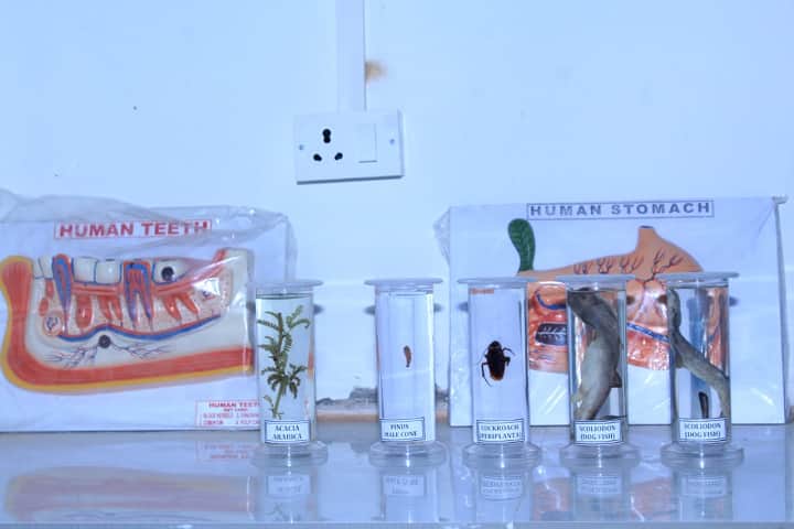 LPM College of Pharmacy campus in Deoria, Uttar Pradesh, India — photo 4