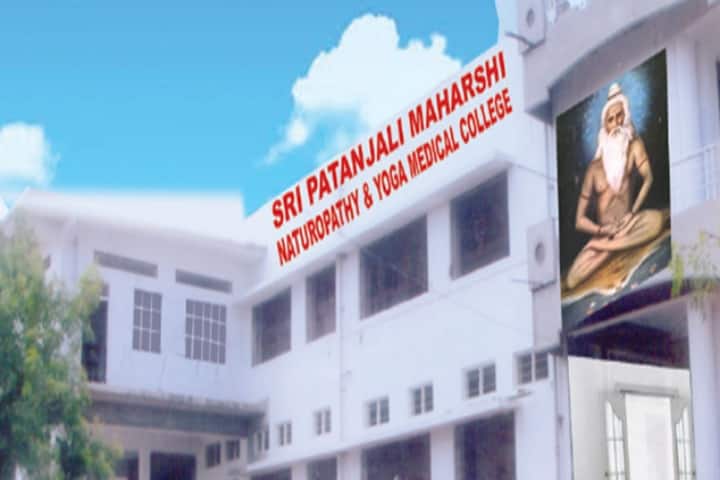 Sri Pathanjali Maharshi Naturopathy and Yoga Medical College campus in Anantapur, Andhra Pradesh, India — photo 1