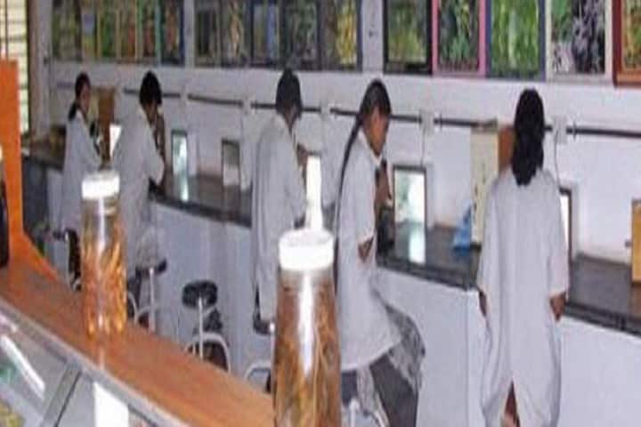 Sri Pathanjali Maharshi Naturopathy and Yoga Medical College campus in Anantapur, Andhra Pradesh, India — photo 2