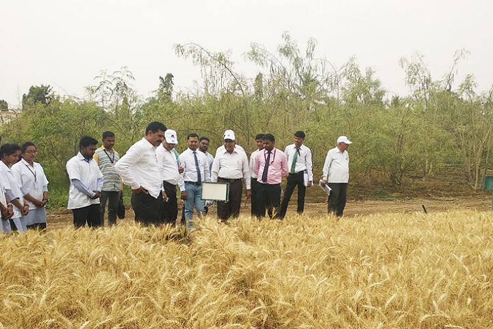HH Sri Sri Murlidhara Swamiji College of Agriculture campus in Malegaon, Maharashtra, India — photo 4