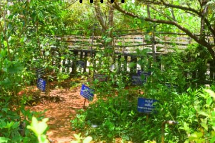 Velumailu Siddha Medical College and Hospital campus in Kancheepuram, Tamil Nadu, India — photo 5