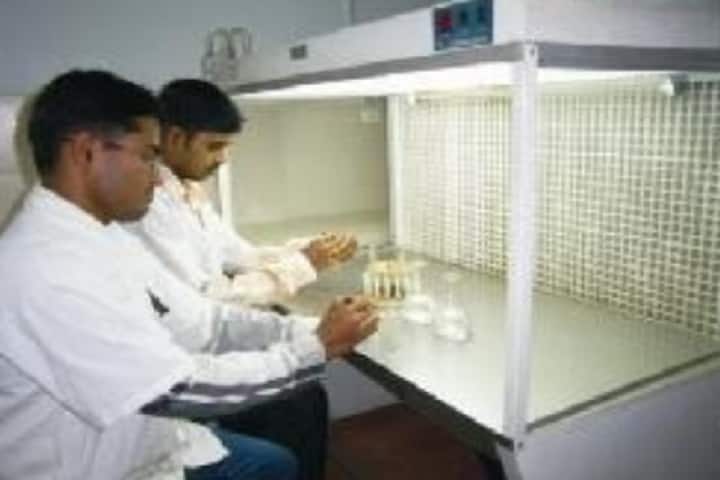 National College of Pharmacy campus in Shivamogga, Karnataka, India — photo 5