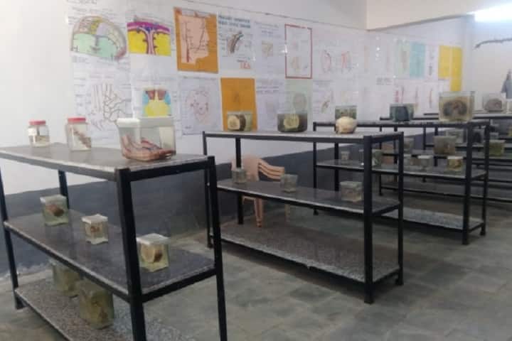 Merchant Homeopathic Medical College campus in Mehsana, Gujarat, India — photo 2