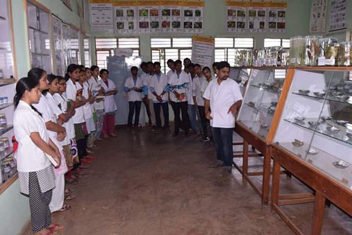 TMAES Ayurvedic Medical College campus in Hospet, Karnataka, India — photo 4