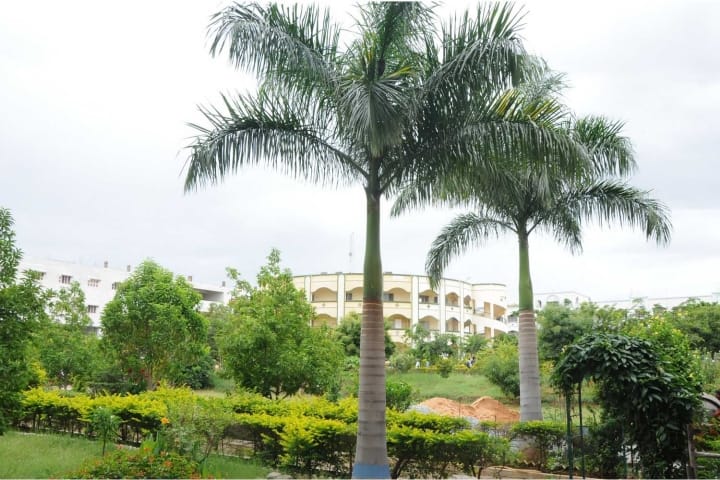 MITS Madanapalle campus in Madanapalle, Andhra Pradesh, India — photo 3
