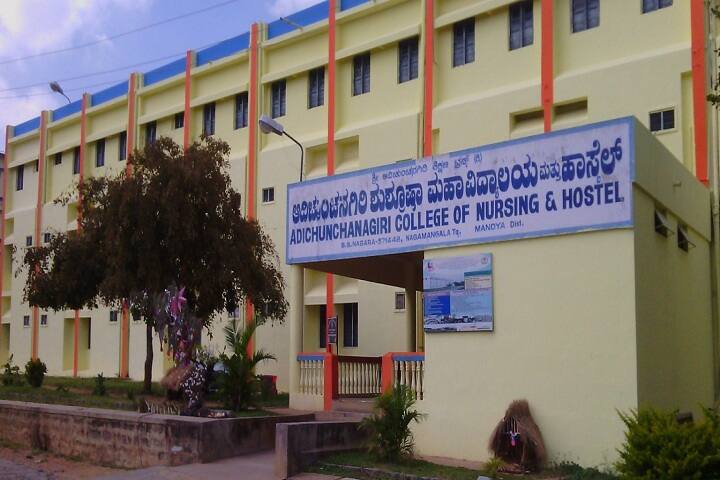 Adichunchanagiri College of Nursing campus in Mandya, Karnataka, India — photo 4