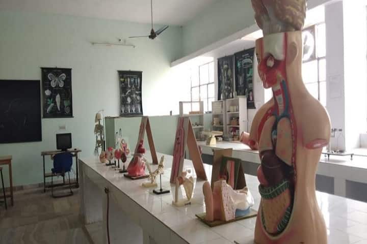 Kuchaman Pharmacy College campus in Nagaur, Rajasthan, India — photo 5