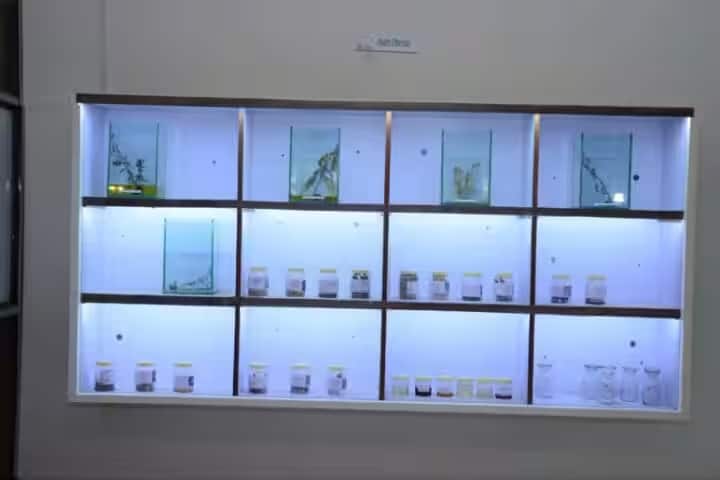 Shri BG Garaiya Ayurveda College campus in Rajkot, Gujarat, India — photo 2