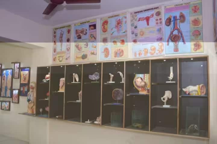 Shri BG Garaiya Ayurveda College campus in Rajkot, Gujarat, India — photo 5
