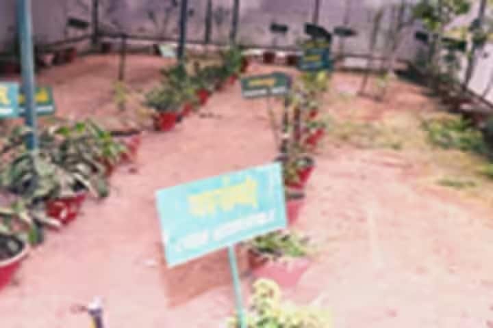 Shri Dhanwantry Ayurvedic College and Hospital campus in Chandigarh, India — photo 5