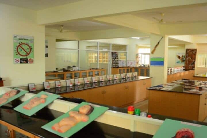 SDM Institute of Ayurveda and Hospital campus in Bengaluru, Karnataka, India — photo 4