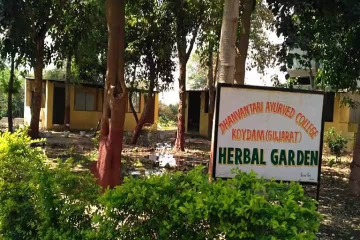Dhanvantari Ayurveda College campus in Mahisagar, Gujarat, India — photo 3
