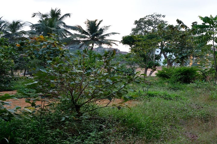 Prasanna College of Ayurveda and Hospital campus in Belthangady, Karnataka, India — photo 5