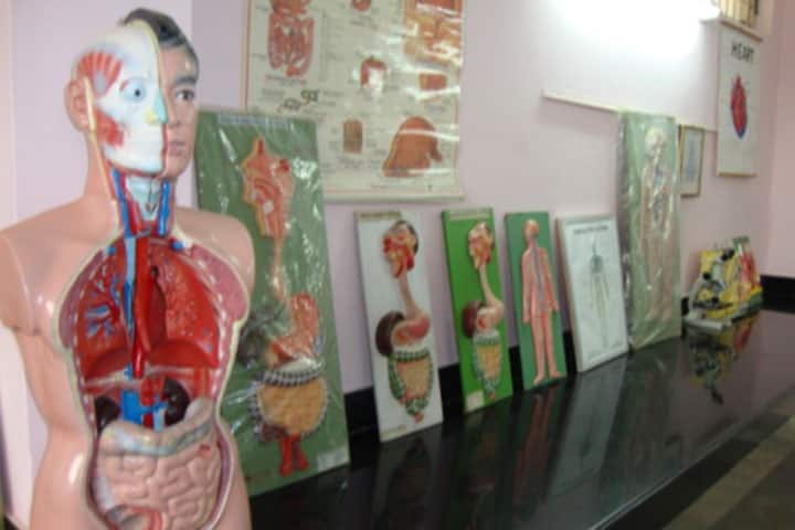 Vivekanand College of Nursing campus in Moradabad, Uttar Pradesh, India — photo 5