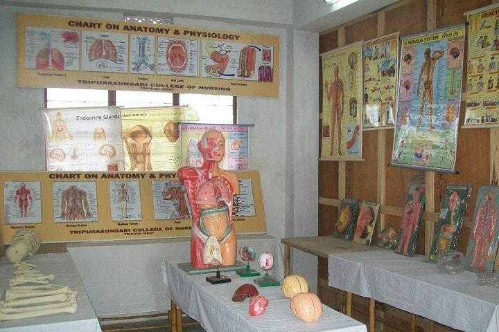 Tripurasundari College of Nursing campus in Agartala, Tripura, India — photo 3