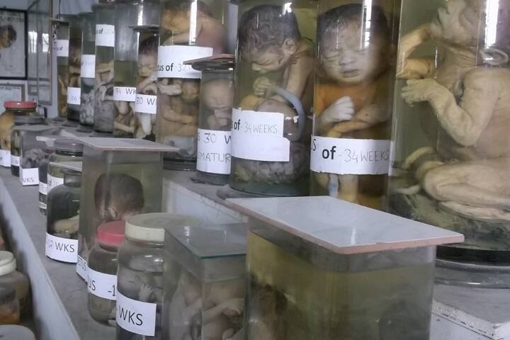 Birbhum Vivekananda Homoeopathic Medical College and Hospital campus in Sainthia, West Bengal, India — photo 6