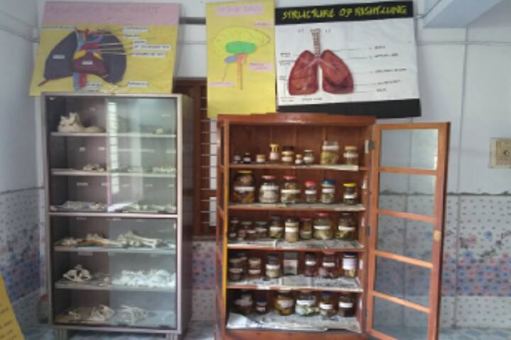 St Joseph's College of Nursing campus in Anchal, Kerala, India — photo 6