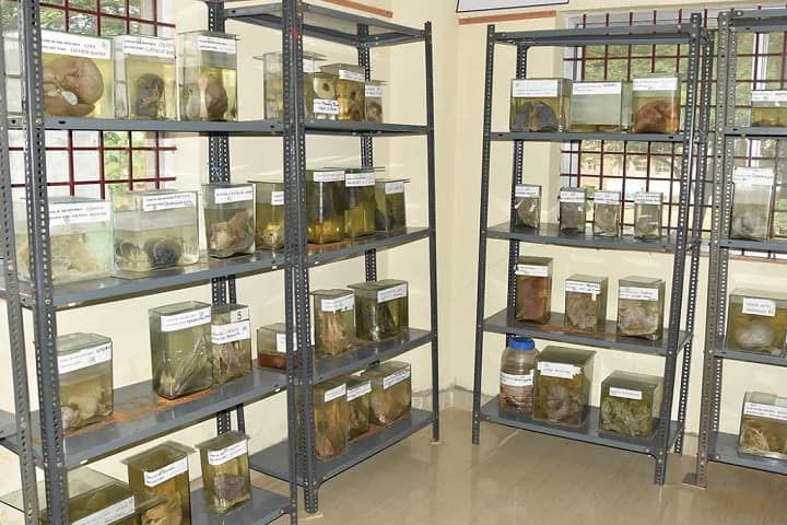Sri Sathya Sai College of Homoeopathic Medical Science campus in Dharwad, Karnataka, India — photo 2