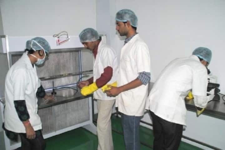 Mandsaur Institute of Pharmacy campus in Mandsaur, Madhya Pradesh, India — photo 6