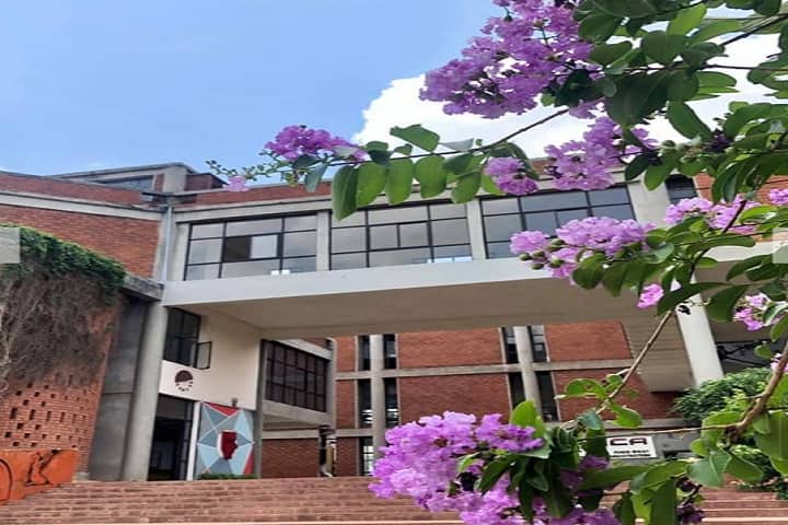 PMCA Cuttack campus in Cuttack, Odisha, India — photo 2
