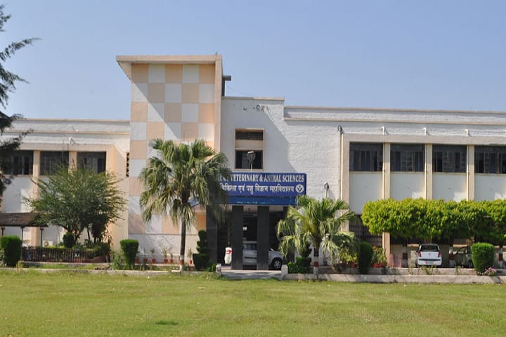 College of Veterinary and Animal Sciences, Pantnagar campus in Pantnagar, Uttarakhand, India