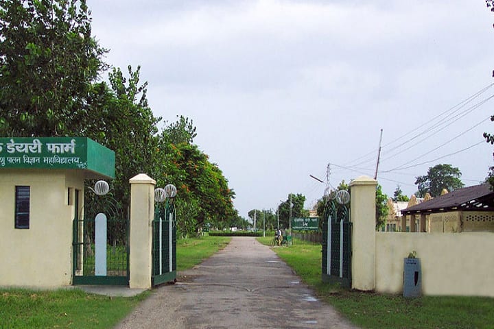 College of Veterinary and Animal Sciences campus in Pantnagar, Uttarakhand, India — photo 2