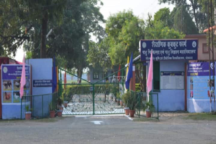 College of Veterinary and Animal Sciences campus in Pantnagar, Uttarakhand, India — photo 3