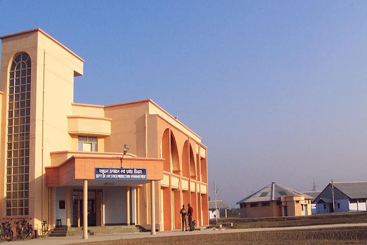College of Veterinary and Animal Sciences campus in Pantnagar, Uttarakhand, India — photo 4