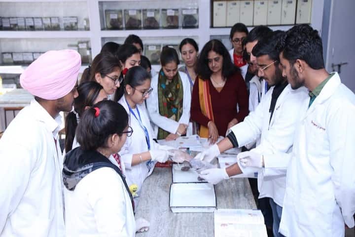 Homoeopathic Medical College and Hospital campus in Chandigarh, India — photo 4