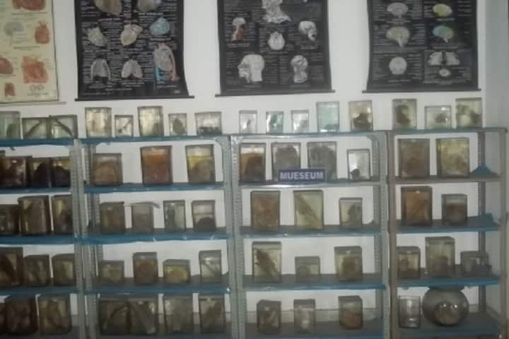 Anushree Homoeopathic Medical College campus in Jabalpur, Madhya Pradesh, India — photo 4