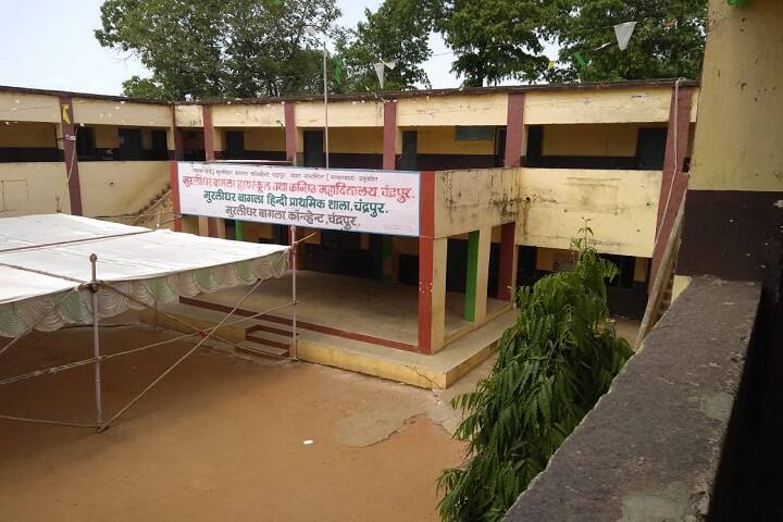 Purushottamdas Bagla Homoeopathic Medical College and Hospital campus in Chandrapur, Maharashtra, India — photo 2