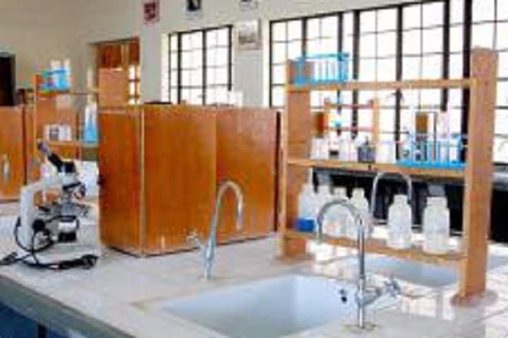 Swami Vivekanand Homoeopathic Medical College and Hospital campus in Bhavnagar, Gujarat, India — photo 2