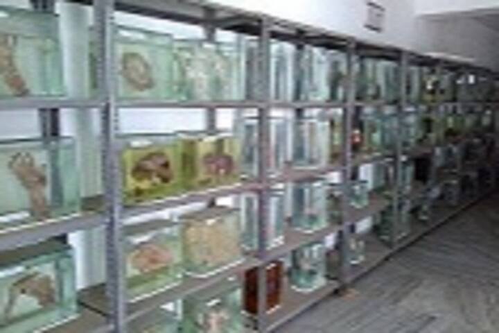 GD Memorial Homoeopathic Medical College and Hospital campus in Patna, Bihar, India — photo 4