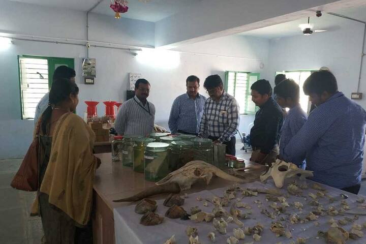 SS and N Animal Husbandry Polytechnic campus in Narasaraopet, Andhra Pradesh, India — photo 5