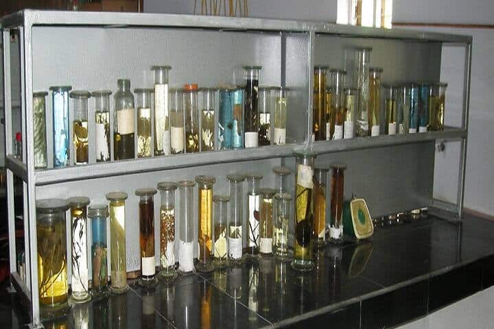 White Memorial Homoeo Medical College campus in Attoor, Tamil Nadu, India — photo 4