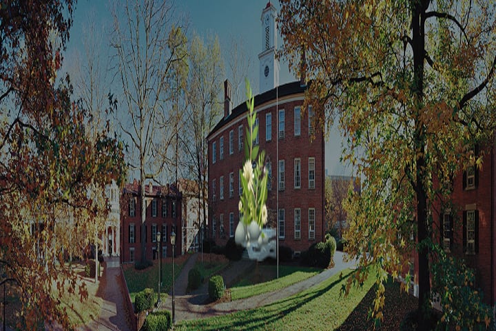 Shivnandan Prasad Mandal Law College campus in Madhepura, Bihar, India — photo 1