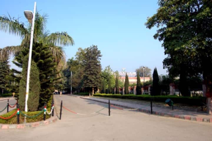 CCSU Meerut campus in Meerut, Uttar Pradesh, India — photo 5