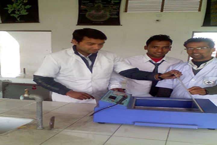 Shakambhari Institute of Higher Education and Technology campus in Roorkee, Uttarakhand, India — photo 3