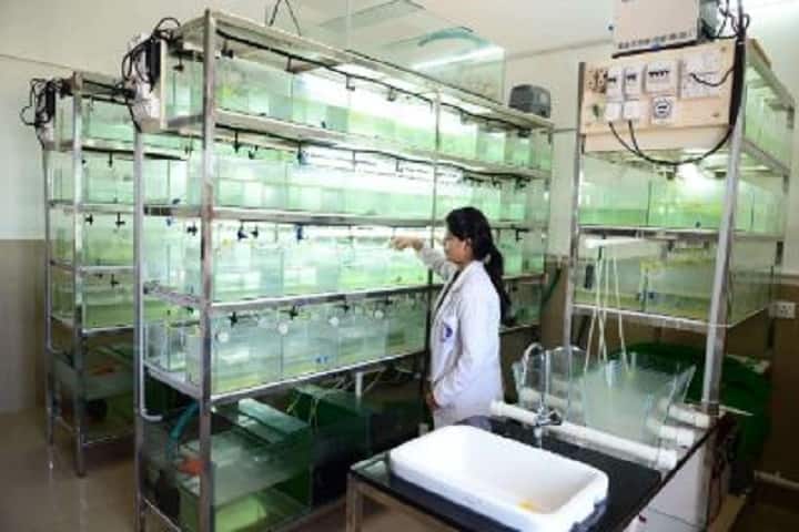 Nitte University Centre for Science Education and Research campus in Mangalore, Karnataka, India — photo 6