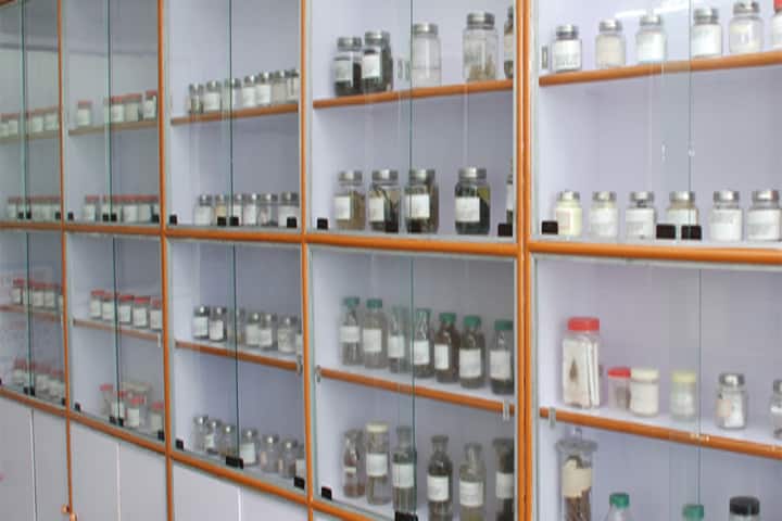 Hahnemann Homoeopathic Medical College and Hospital campus in Bhopal, Madhya Pradesh, India — photo 3
