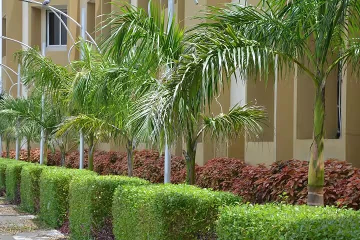 College of Dairy Science campus in Amreli, Gujarat, India — photo 2